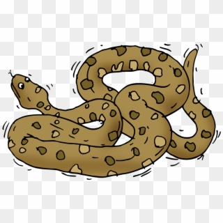 Anaconda - Serpent Clipart