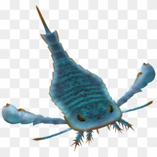 Eurypterus Paleoart - Squid Clipart