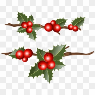 Free Png Holly Branches Png Images Transparent - Holly Branches Clipart