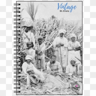 Sugarcane Notebook, St - Sugar Cane Cutter Barbados Clipart