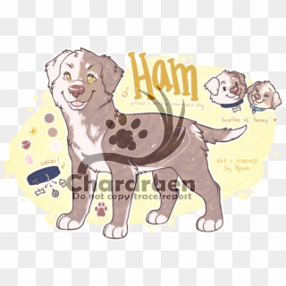 Male Pitbull X Bernese Mtn Dog - Cartoon Clipart