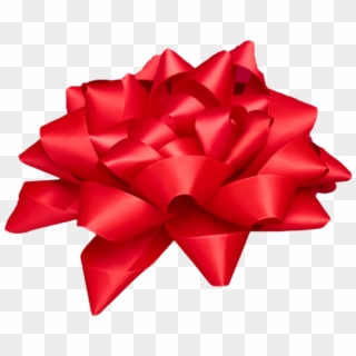 #bow #christmas #xmas #red #gift #presents #sarahmcauley - Cut Flowers Clipart
