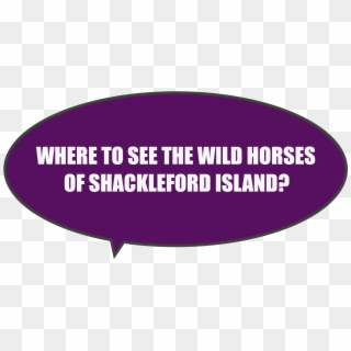 Can You See The Wild Horses On Shackleford Island From - Dating Site Murderer Meme Clipart