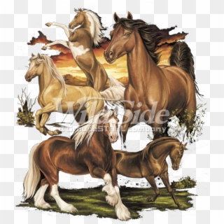 Horse Collage - Sorrel Clipart