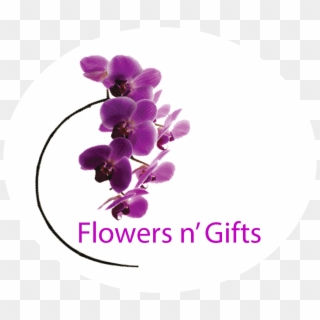 Flowersngifts-logo - Orchids Clipart