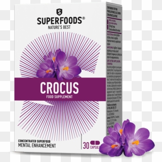 The Beneficial Qualities Of Crocus - Superfood Clipart