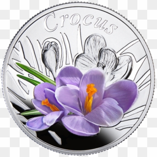 Belarus 2013 Under The Charm Of Flowers Series - Coin Clipart