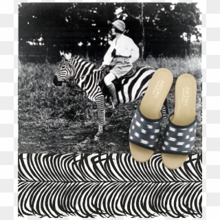 "new Collection - Vintage Safari Clipart
