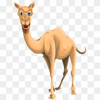 Camel Png Clipart