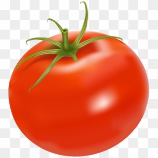 2205 X 2425 9 - Transparent Background Tomatoes Clipart - Png Download