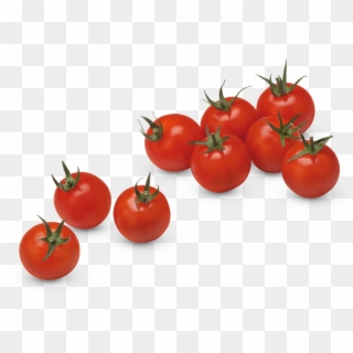 Fresh Tomato Png Download Image - Tomate Cerise Png Clipart