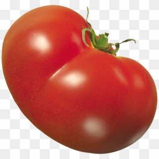 Tomato Png Clipart