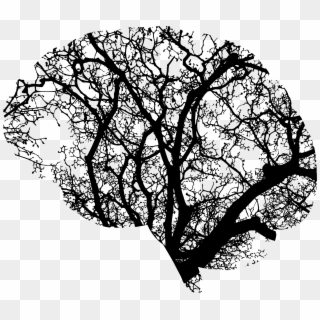 Brain Tree Png Library Stock - Brain And Tree Clipart