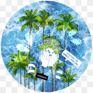 Ocean Water Tumblr Hawaii Tumblr Icon Palmtrees Wood - Icon Backgrounds Clipart