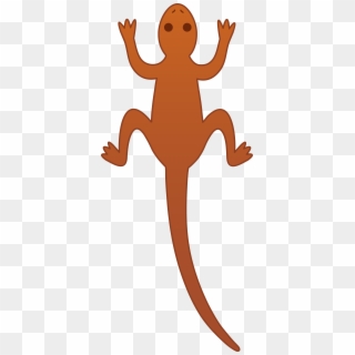 Svg Transparent Library Monitor Lizard Colour Free - Clipart Lizard - Png Download