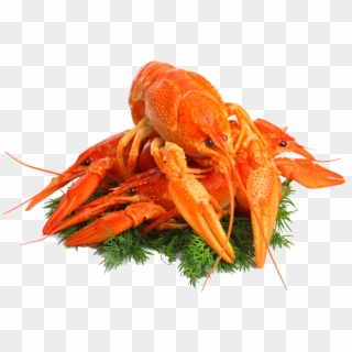 Lobster Png Clipart