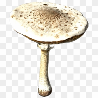 Agaric Clipart