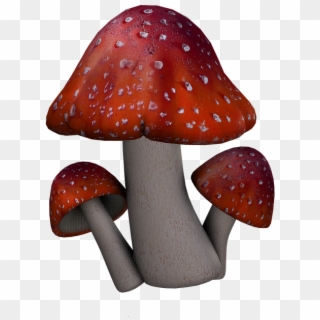Fantasy Mushrooms Png Clipart