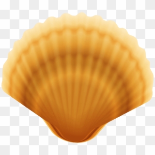 Clam Shell Transparent Png Image - Baltic Clam Clipart