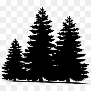 Clipart Resolution 640*548 - Pine Tree Clipart - Png Download