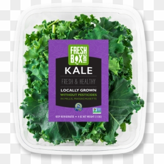 Freshbox Kale - Collard Greens Clipart