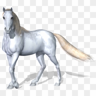Transparent Horses Fantasy - White Horse Png Clipart