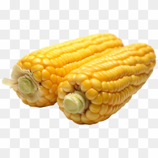 Jpg Transparent Png Image Purepng Free Transparent - Maize Images In Png Clipart