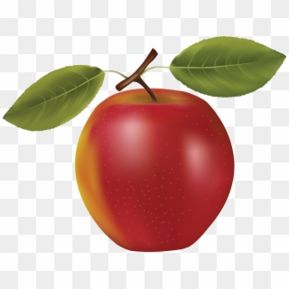 Apple Png Icon - Vector Graphics Clipart