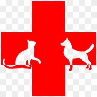 Veterinary First Aid Big Image Png Ⓒ - Dog And Cat Red Cross Clipart