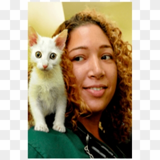 Doctor Christina East At Riverside Animal Hospital - Kitten Clipart