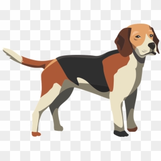 Dog, Hound, Mammal, Animal, Pet, Puppy, Cute, Canine - Cute Anatomy Of A Dog Clipart