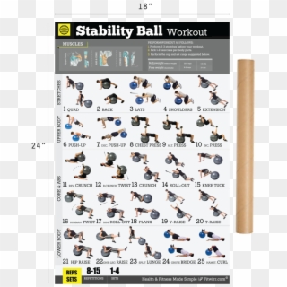 An Exercise Ball, Also Called Stability Balls, Swiss - Dumbbell Workouts For Arms Men Clipart