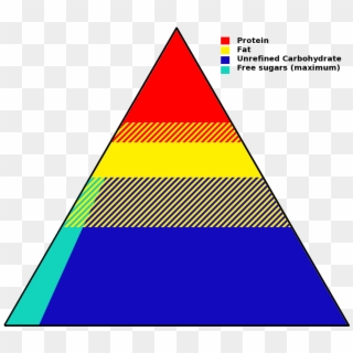 File - - Food Pyramid Of Biomolecules Clipart