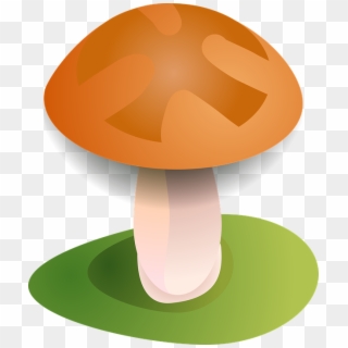 Fall Forest Fungus Mushroom Season Toadstool - Table Clipart