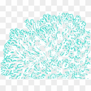 Coral Reef Clipart Cartoon - Transparent Coral Reef Clipart - Png Download