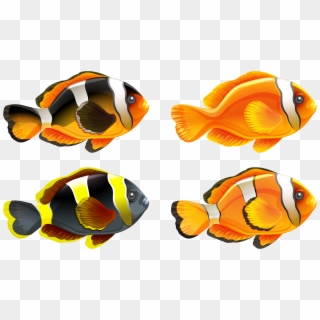 Picture Library Png Pinterest Fish Clip Art And - Things That Starts With Letter C Transparent Png