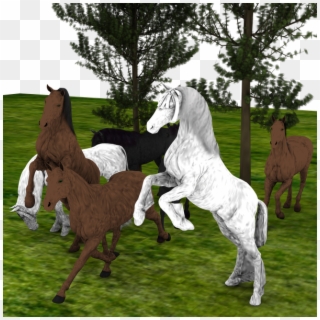 2nd Entry For The Newbie Contest I Need To Find The - Stallion Clipart