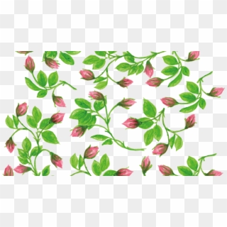 Flower Vines Painting Clipart