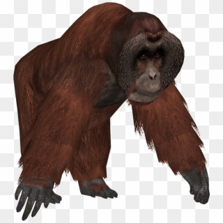 Ape Clipart Transparent Background - Zoo Tycoon Orangutan - Png Download
