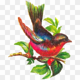 Free Bird Clip Art - Songbird - Png Download