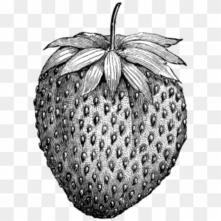 Boy On A - Black And White Strawberry Tattoo Clipart