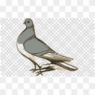 Custom Pigeon Sticker Clipart Pigeons And Doves Homing - Clip Art Burung Dara - Png Download
