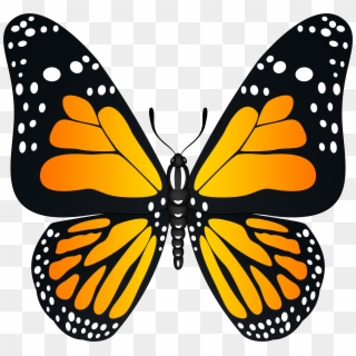 Orange Butterfly Transparent Png Image Clipart
