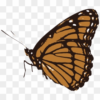Life Inside Texas' Border Security Zone - Transparent Butterfly Clipart