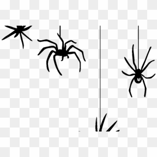 Hanging Spider Png Clipart