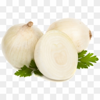 Onion , Png Download - Onion Clipart