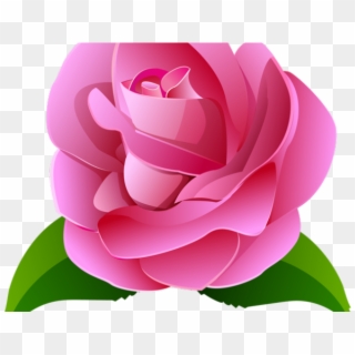 Rose Clipart Transparent Background - Rosas Cor De Rosa Png