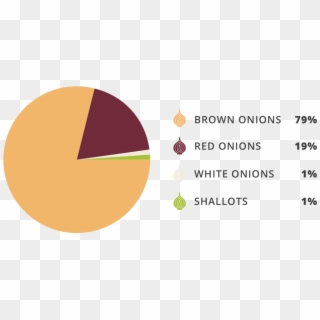 The Major Onion Varieties Grown In Australia Are - Circle Clipart