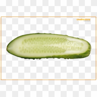 Cucumber, Sliced, Transparent - Cucumber Clipart