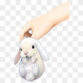 #bunny #baby #rabbit #hand #freetoedit - Domestic Rabbit Clipart
